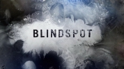 Blindspot Captures 